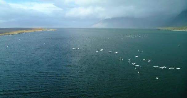 Letecký Snímek Krásného Vodopádu Islandských Horách Řeka Nese Vodu Vrcholu — Stock video