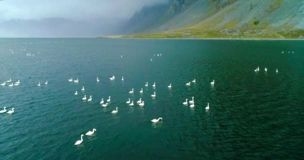 高地のアイスランドのパノラマの風景や丘陵地帯の湖 パノラマの景色は鮮やかな緑の尾根や丘 丘の上を水が流れ 美しい湖に足を踏み入れる小さな滝を示しています — ストック動画