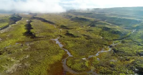 アイスランドの山々の美しい滝の空中ショット 川は山の頂上からその底まで水を運んでいる 山は緑の春草の層で覆われている — ストック動画