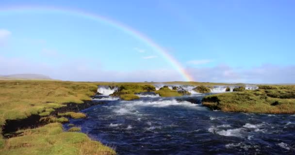 Islandská Řeka Krásná Duha Pozadí Široký Záběr Pláně Pokryté Zelenou — Stock video