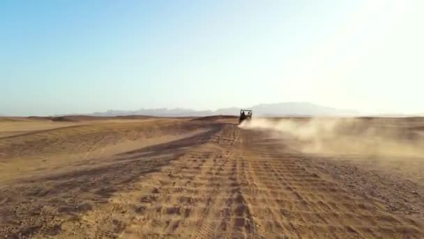 バギー車は晴れた日に砂の地形を移動します 男が乗っている車の後ろからドローンで撮影されました 車は砂の雲を車輪の後ろに残している 天気は晴れで暑い — ストック動画
