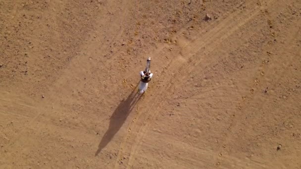 Homem Está Montando Seu Cavalo Branco Raça Pura Deserto Tiro — Vídeo de Stock