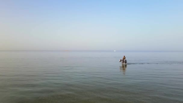 空中拍摄的一个人骑着一匹白马在深海深处的大海中 这个男人穿着半翻开的绿色衬衫和白裤子 拍摄时间是在阳光明媚的一天 — 图库视频影像