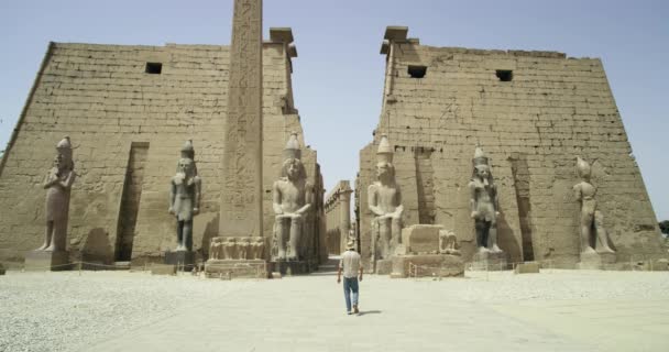 Turist Ett Historiskt Egyptiskt Tempel Brett Skott Tas Stadig Kamera — Stockvideo