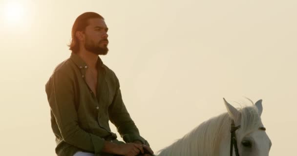 ハンサムな騎士は 太陽の下で明るい白い馬に乗っている 緑のシャツを着たハンサムな髪の長い若い男が 明るい日差しと穏やかな風の下で非常に美しい方法で美しい白い馬に乗っています — ストック動画