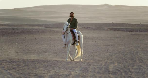 Een Knappe Arabische Ridder Zijn Witte Paard Met Een Grote — Stockvideo