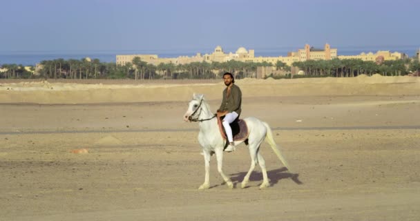 一位英俊的骑士优雅地骑着他的马走过红海 一个非常英俊的男人骑着他的纯白色的马平稳地沿着红海海岸 远离他身后的城市 那里有白色的石头建筑和很高的树 — 图库视频影像