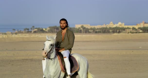 一个英俊的棕色胡子男人骑着他的白马在红海边 一个留着胡子 棕褐色长发的阿拉伯男子骑着他的纯种马 在红海岸边的一个海滨沙漠城市旁边 那里长满了高大的树木和美丽的建筑物 — 图库视频影像