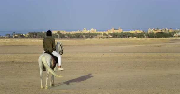 Homem Monta Seu Cavalo Lado Uma Bela Cidade Deserta Mar — Vídeo de Stock