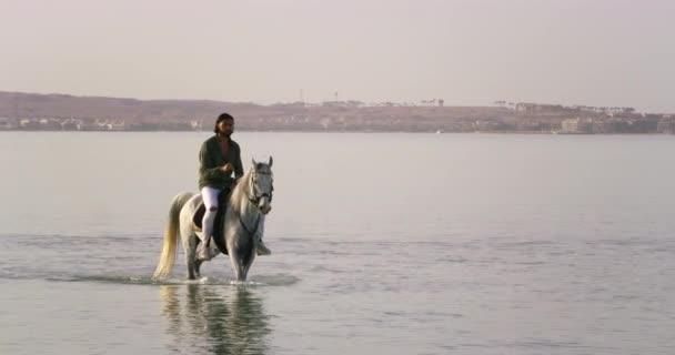 Cavaleiro Montando Seu Belo Cavalo Branco Nas Águas Mar Vermelho — Vídeo de Stock