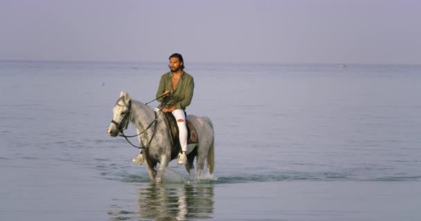 一个在红海骑马的人的近景 一个英俊的男人骑着他美丽的白马在红海清澈的水面上 以一种奇异浪漫的方式反射出太阳光的特写 — 图库视频影像