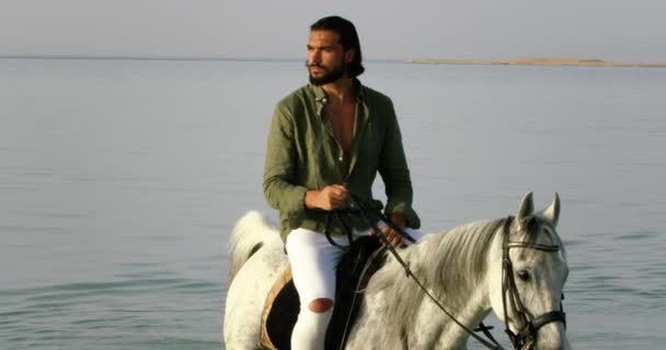 一个留胡子的男人骑着马在红海的特写 一个英俊的 留着胡子的棕褐色男子骑着他的白马鞍座在红海清澈的水面上 后面是一个不起眼的小沙洲 — 图库视频影像