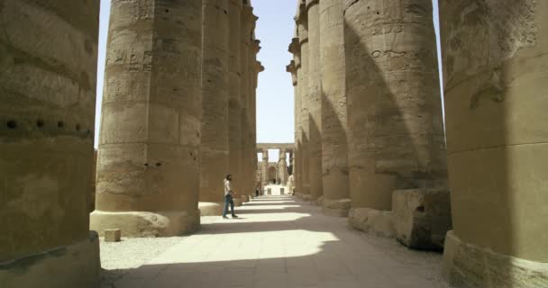 在埃及最重要的历史遗迹之一行走的观光客 该遗址建于法老时代 花了数千年才建成 由巨大的砂岩柱子组成 游客漫步在该遗址铺了砖的地面上 — 图库视频影像