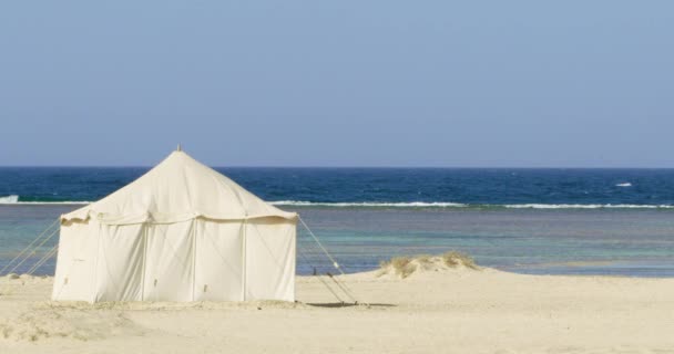 海辺に設置されたテントの灯景 厚いロープで地面に固定されたテント 澄んだ空の下の背景にある海の青い波 テントは白く砂の上に設置されています — ストック動画
