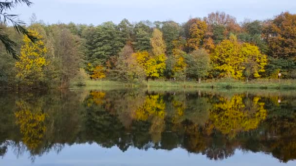 Paisaje otoñal con vistas al lago, que refleja el colorido follaje brillante de los árboles en el parque natural de la ciudad. — Vídeos de Stock