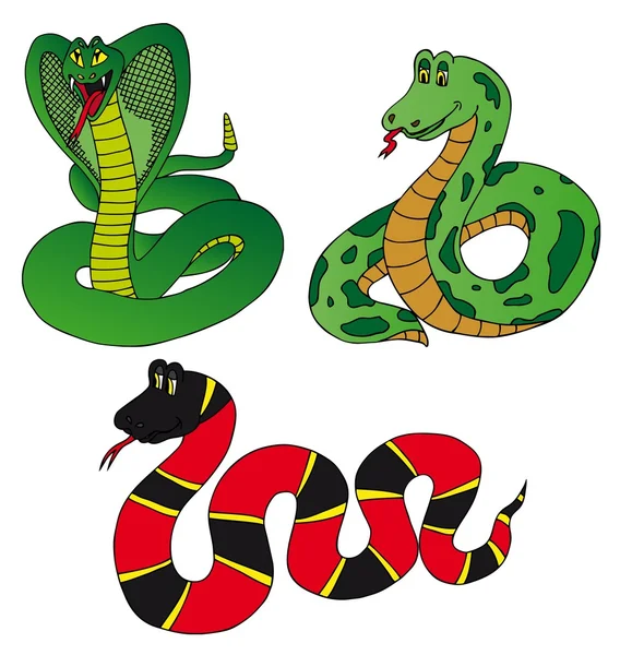 ヘビの様々 なコレクション — ストックベクタ