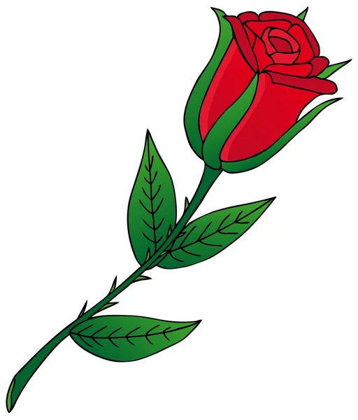 Rosa sobre fondo blanco — Vector de stock