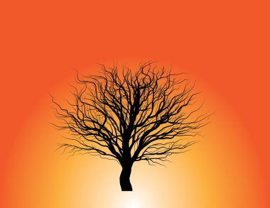 hiçbir leavves ağaç siluet