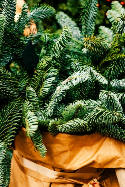 Vánoční Kytice Krásných Jedlových Větví — Stock fotografie