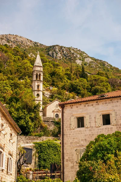 Kotor Montenegró 2021 Szeptember Gyönyörű Középkori Épületek Kotor Óvárosában — Stock Fotó