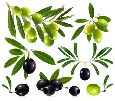 Olives with leaves clipart