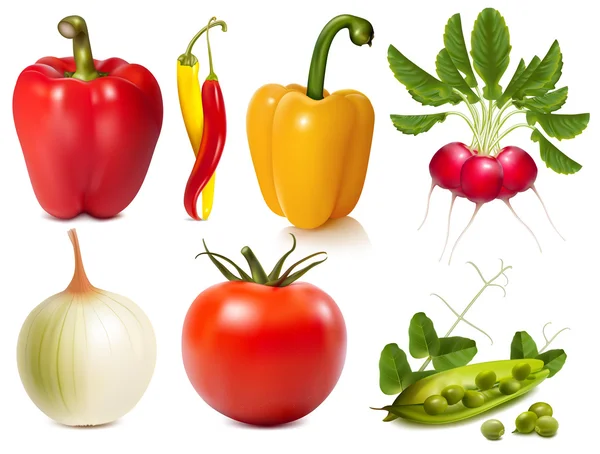 Коллекция векторных овощей — стоковый вектор