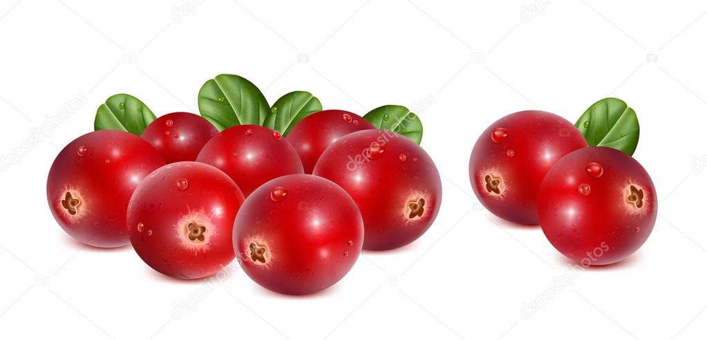 Cranberries with leaves and water drops