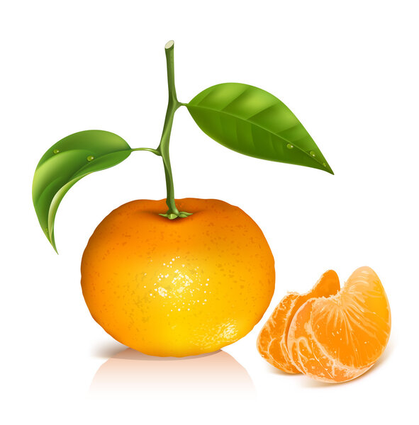 Fresh tangerine fruits with green leaves.