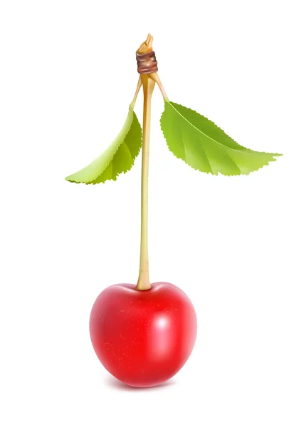 Cereza roja madura con hojas — Vector de stock