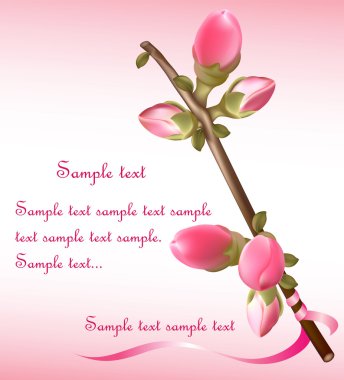 Bahar çiçekli Ayva