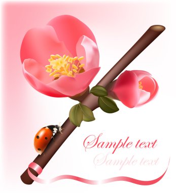 Bahar çiçekli Ayva