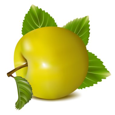 vektör yeşil elma.