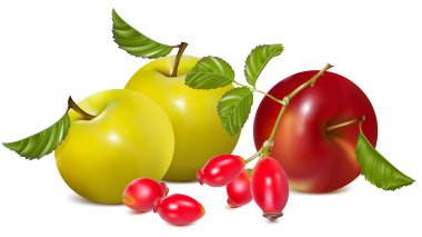 Kırmızı elma ve rose HIPS.