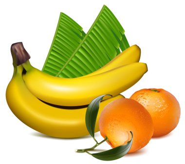 mandalina meyve ve muz