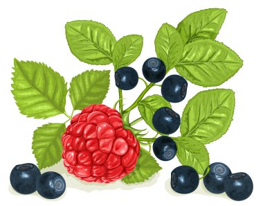 bilberries (yaban mersini) ve ahududu
