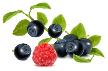 bilberries ve ahududu.