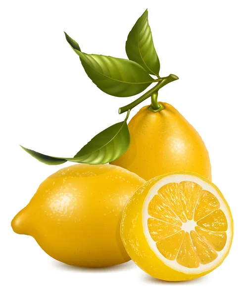 Lemon segar dengan daun . - Stok Vektor