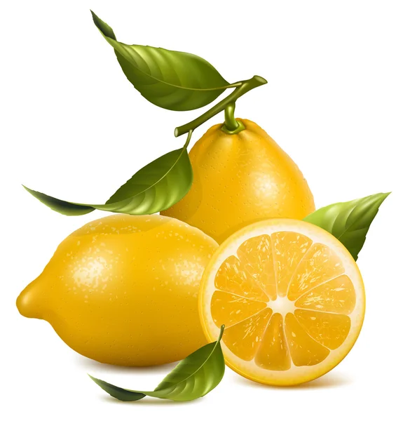 Limones frescos con hojas . — Vector de stock