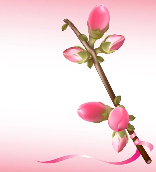 Tavasszal virágzó birs — Stock Vector