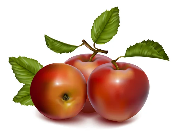 Äpfel mit grünen Blättern — Stockvektor