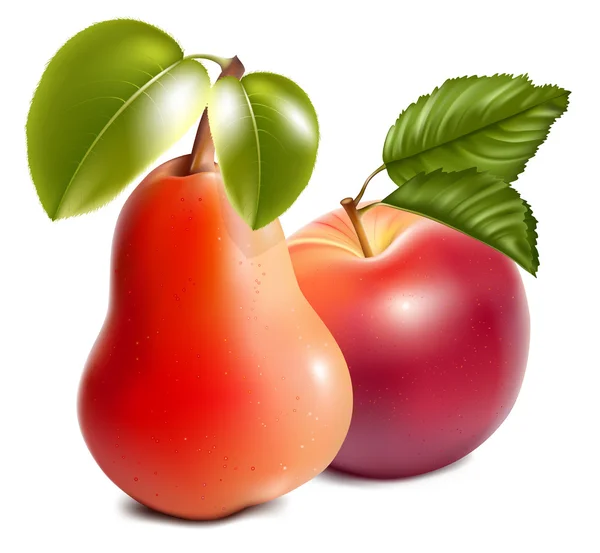 Ώριμα κόκκινο μήλο και αχλάδι. — Διανυσματικό Αρχείο