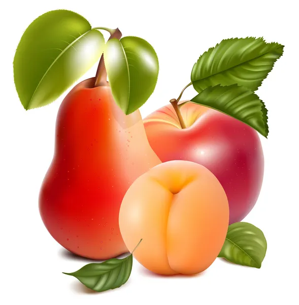 Reife Äpfel, Birnen und Aprikosen. — Stockvektor