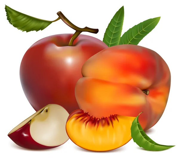 Reifer Pfirsich und Apfel. — Stockvektor