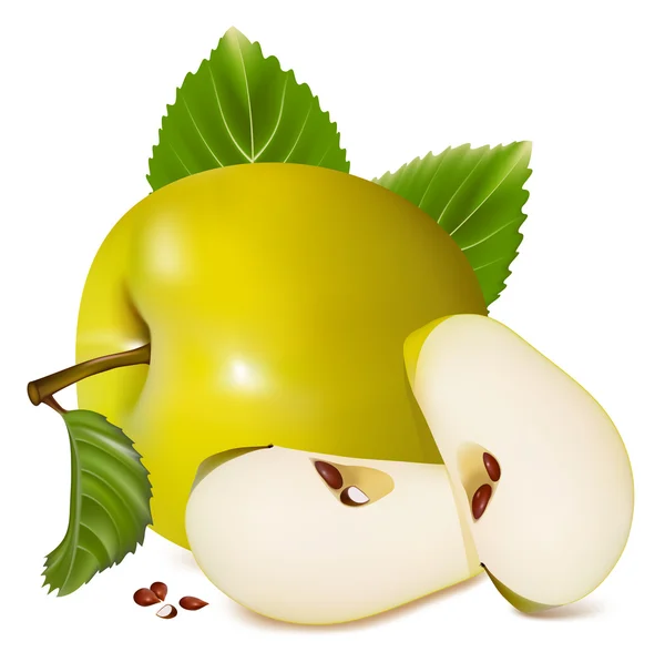 Zelená jablka. — Stockový vektor