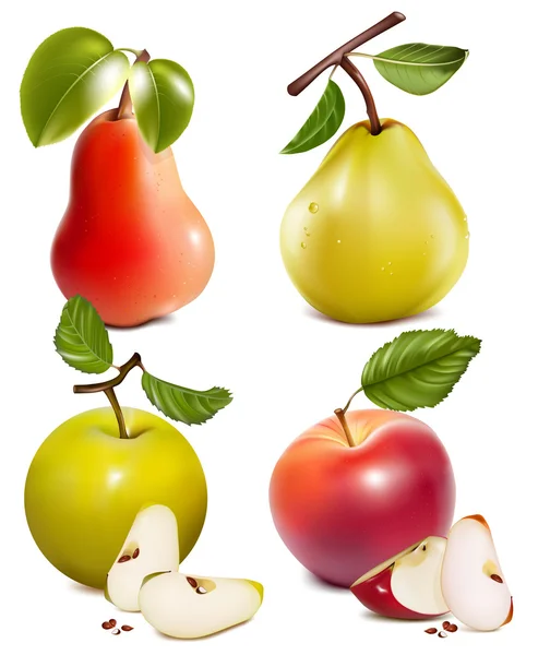Fruits vecteurs photo-réalistes . — Image vectorielle