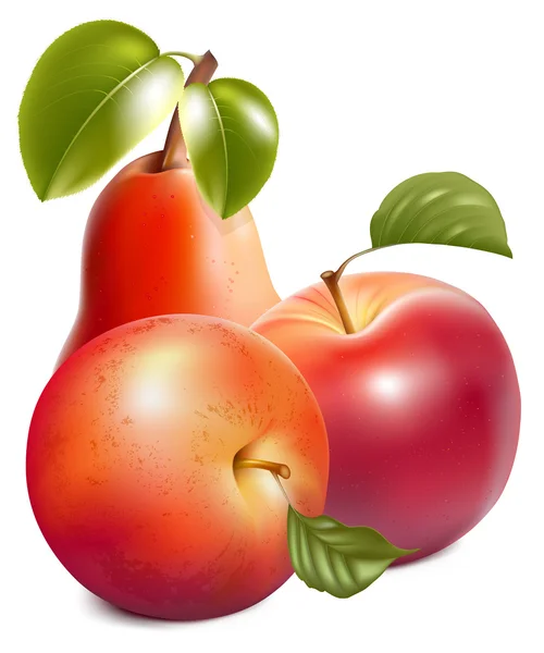 Manzanas rojas maduras y pera — Vector de stock