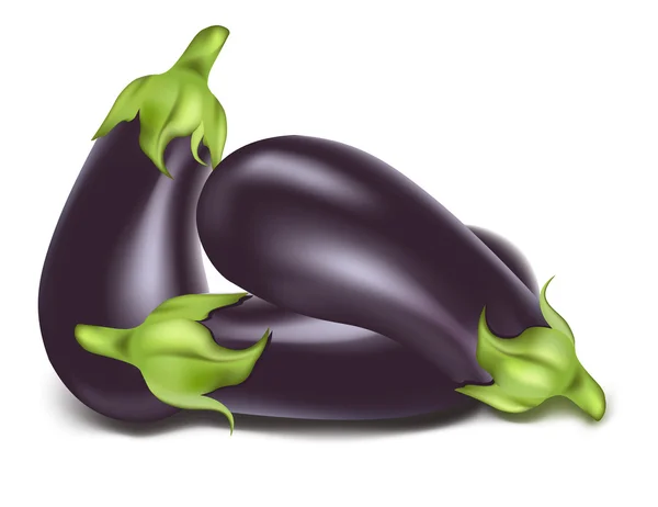 Aubergines — Image vectorielle