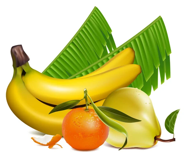 Tangerine fruit, bananen en rijpe peer. — Stockvector