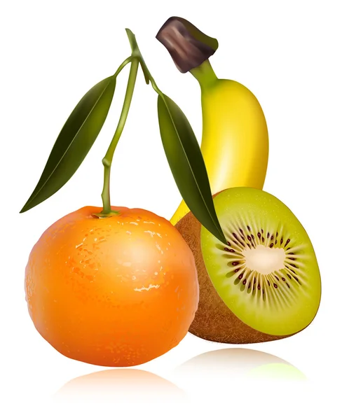 Vector van tropische vruchten — Stockvector