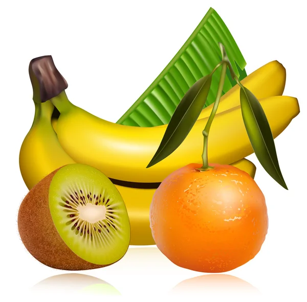 Vector de frutas tropicales — Vector de stock